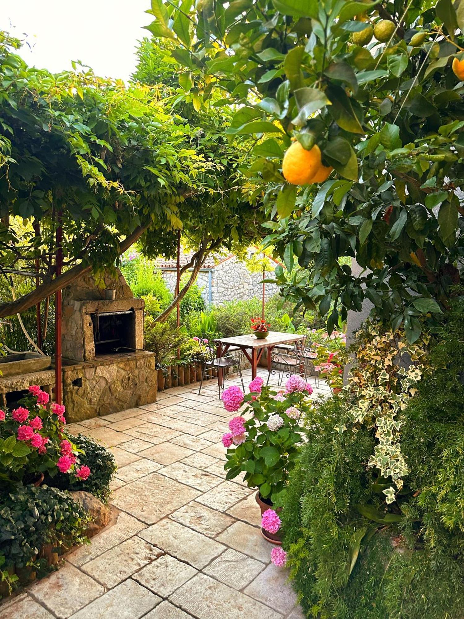 Apartments Cvita Veli Lošinj Buitenkant foto