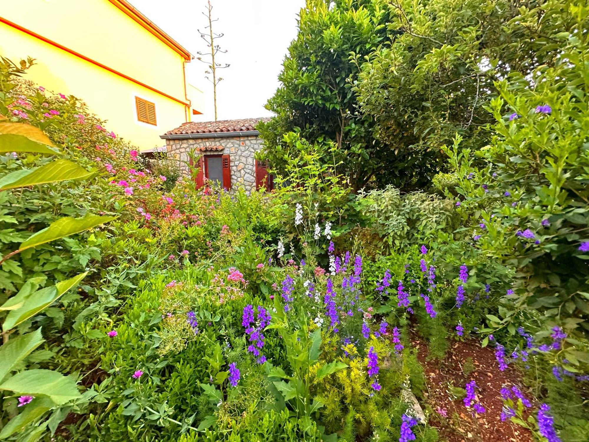 Apartments Cvita Veli Lošinj Buitenkant foto